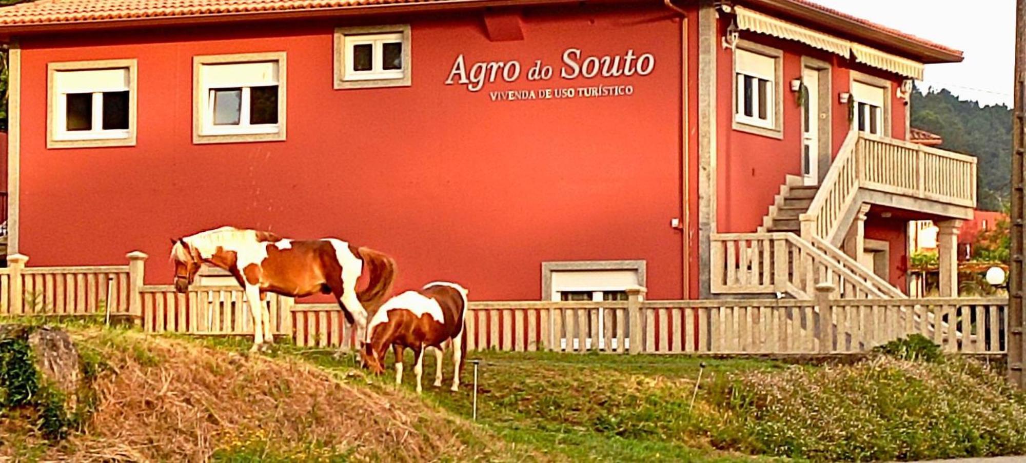 Agro Do Souto, Noia - Villa Completa Ngoại thất bức ảnh