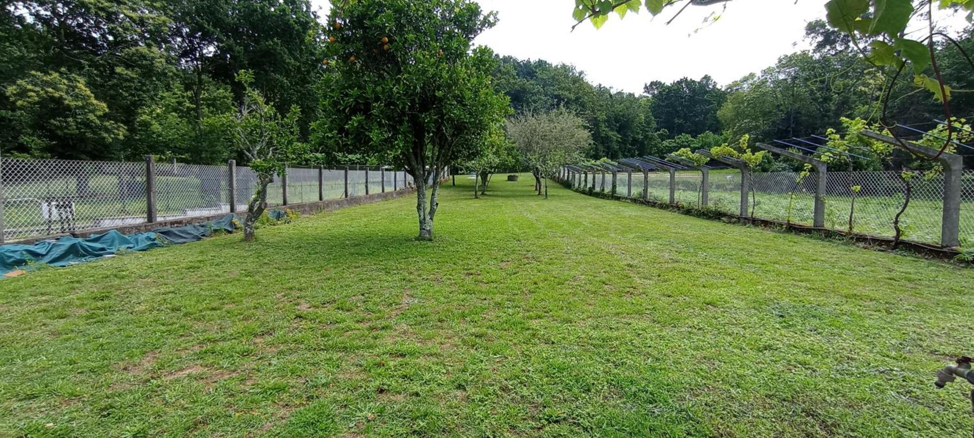 Agro Do Souto, Noia - Villa Completa Ngoại thất bức ảnh